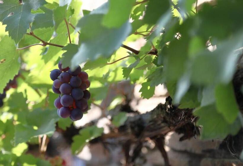 פנסיון Gästehaus Knaup