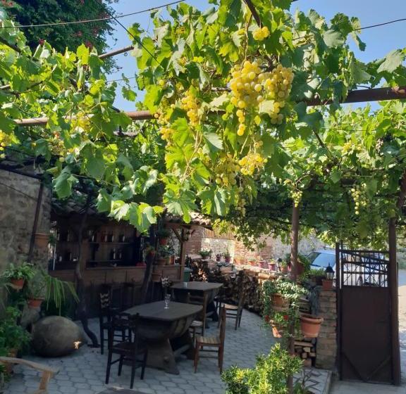 پانسیون Guest House Kusika