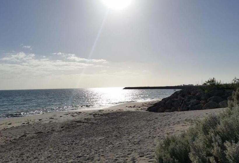 بنسيون North Coogee Beach House