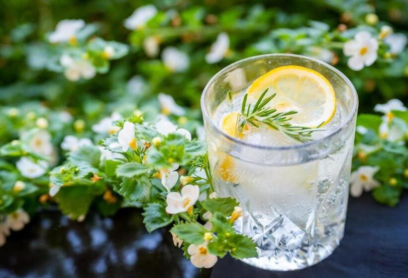 پانسیون Penzion šterk