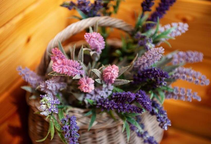 پانسیون Penzion šterk