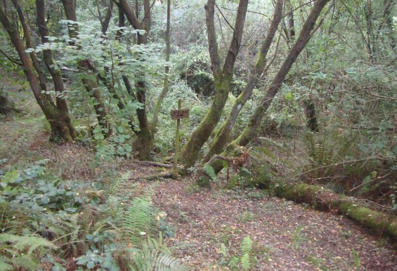 膳宿费 Rural Rumoroso