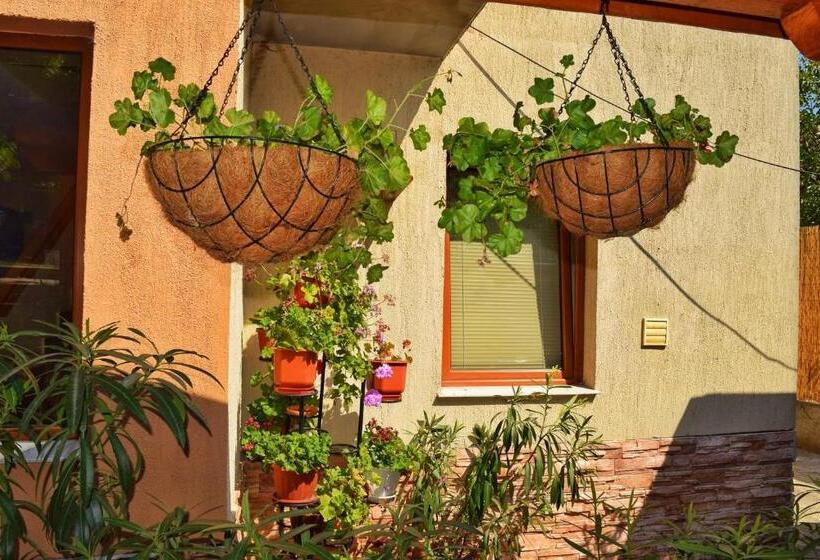 بنسيون Tatyana Guest House