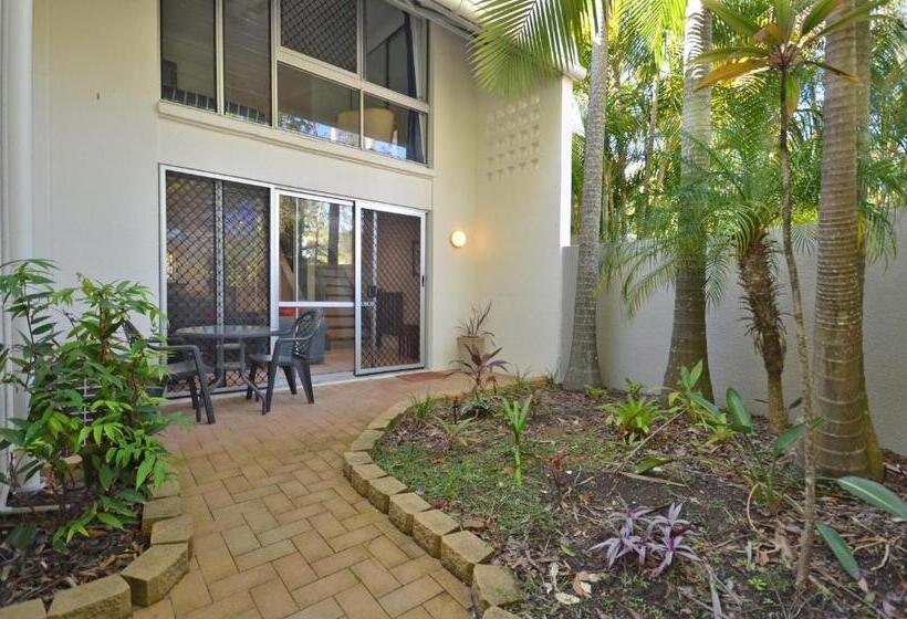 Raintrees Moffat Beach