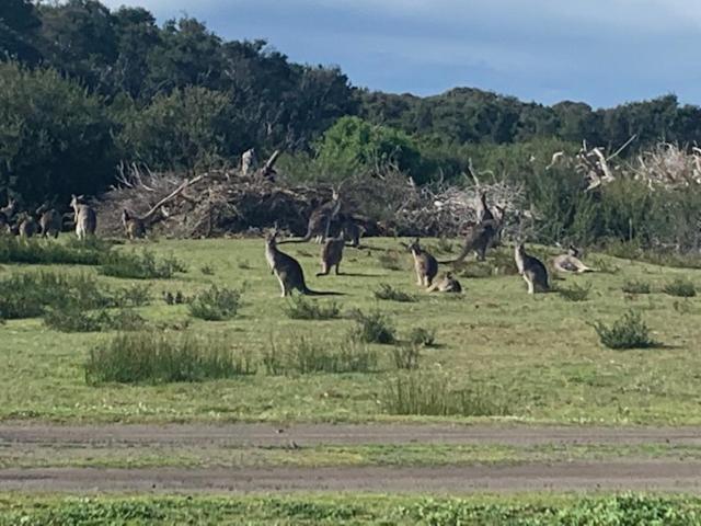 리조트 Broadbeach Inverloch