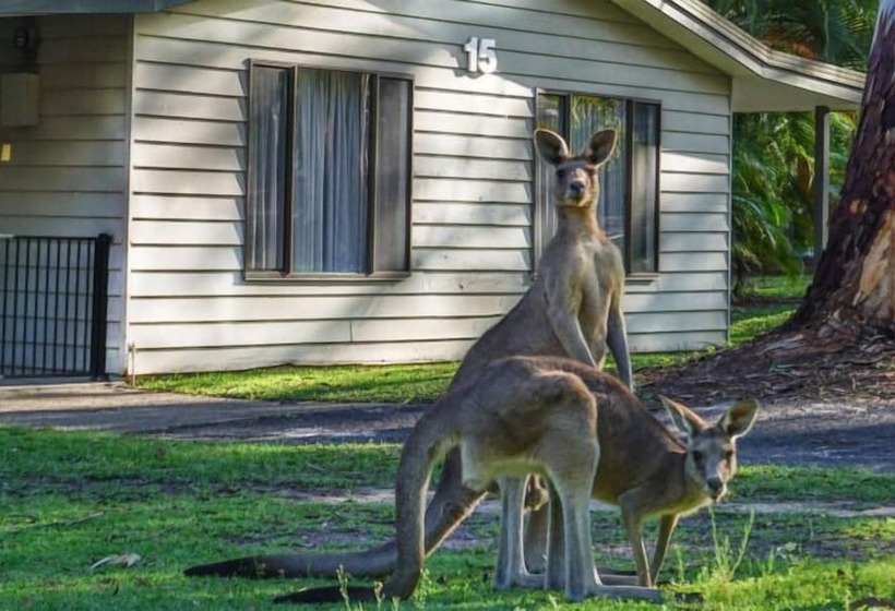 אתר נופש Big4 Noosa North Shore