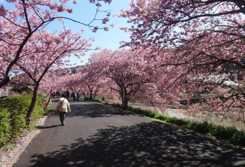 ريوكان Ishibu So