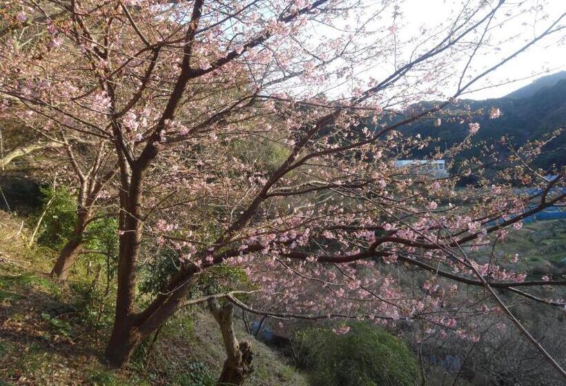 ريوكان Ishibu So