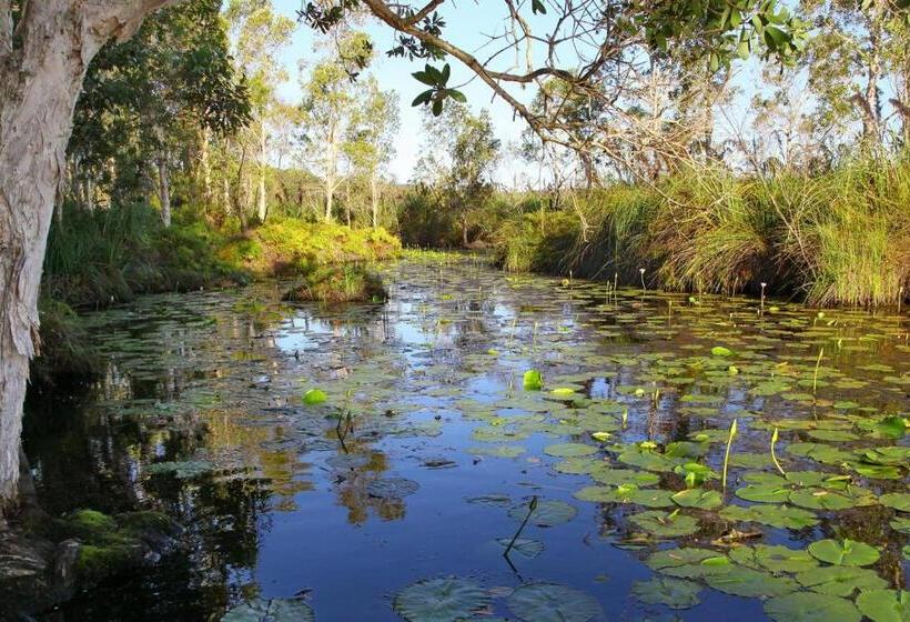 Salamander Bay Bed And Breakfast