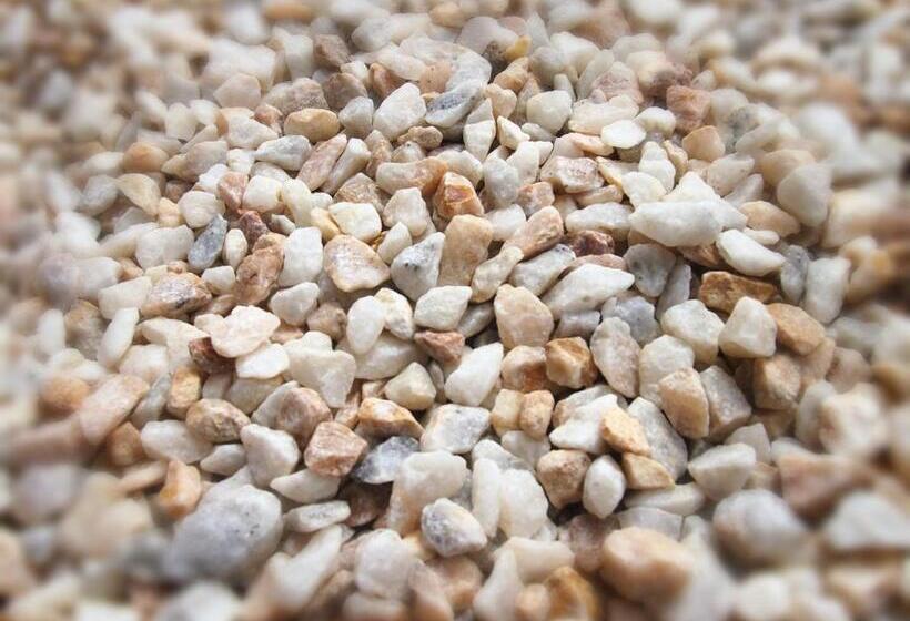 Siesta Central Apartments