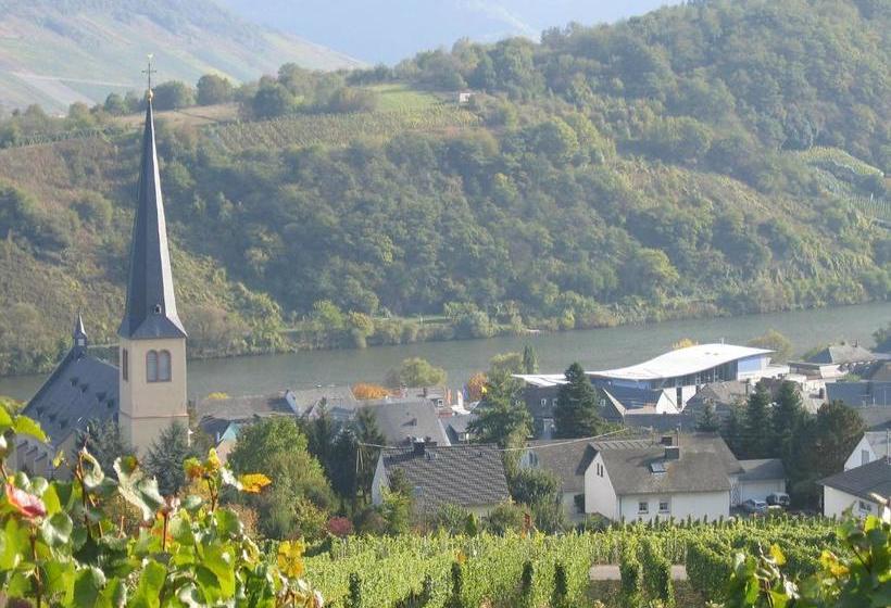 호스텔 Weinfelderhof