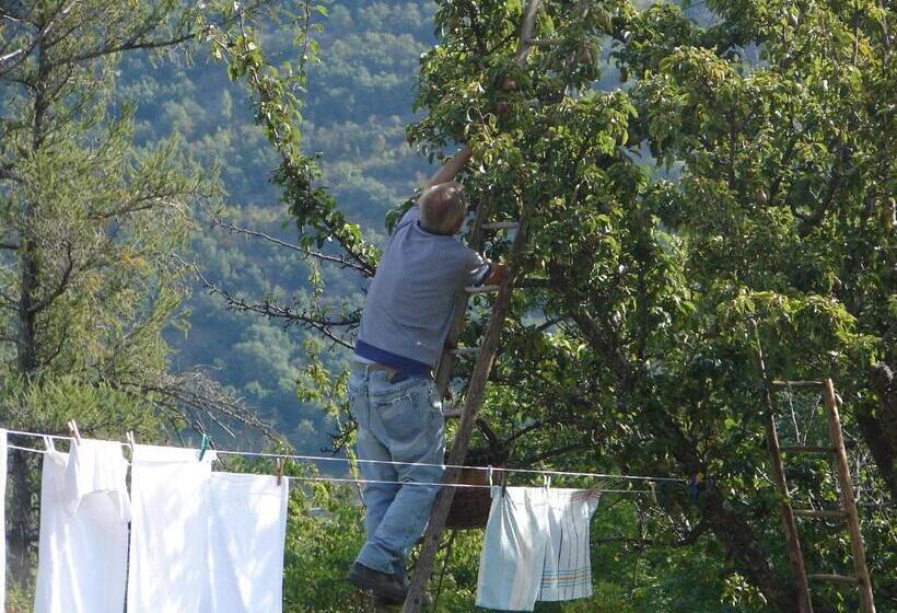 مبيت وإفطار Affittacamere Grand Saint Bernard