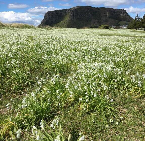 مبيت وإفطار Cable Station Accommodation