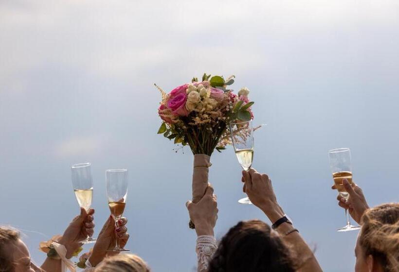 مبيت وإفطار Dalma Panzió