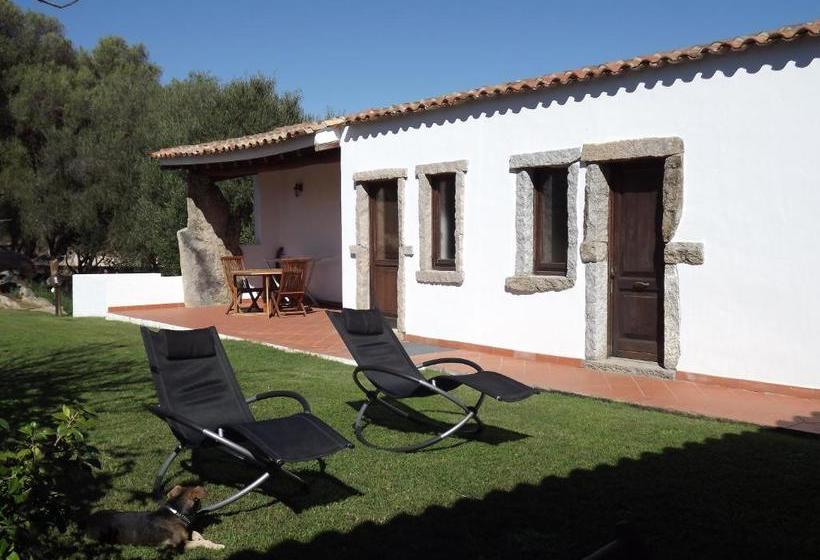 مبيت وإفطار Il Vecchio Ginepro