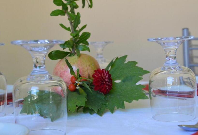 تختخواب و صبحانه Ostello Villa Redenta