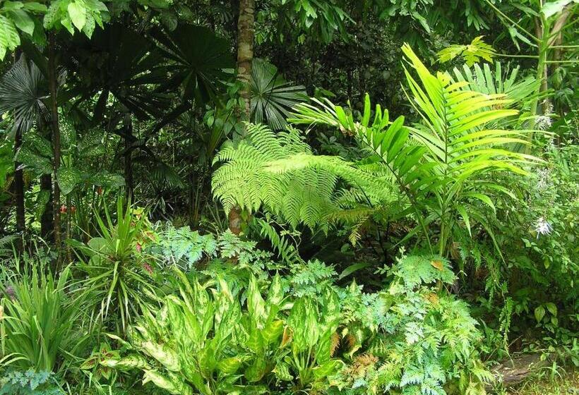Epiphyte B & B