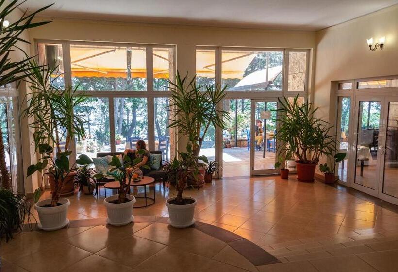 酒店 Adis Holiday Inn