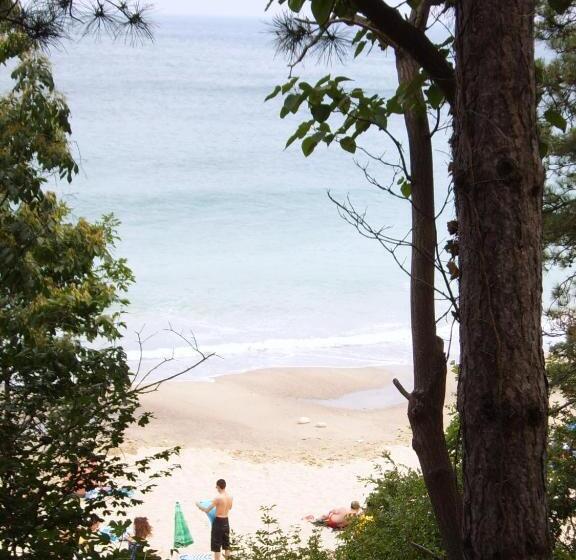 酒店 Adis Holiday Inn