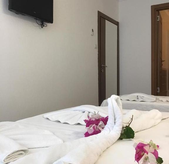 בית מלון כפרי Altunakar 1