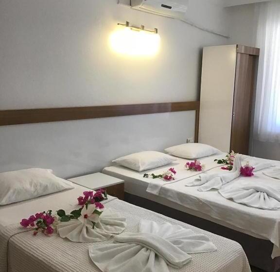 בית מלון כפרי Altunakar 1