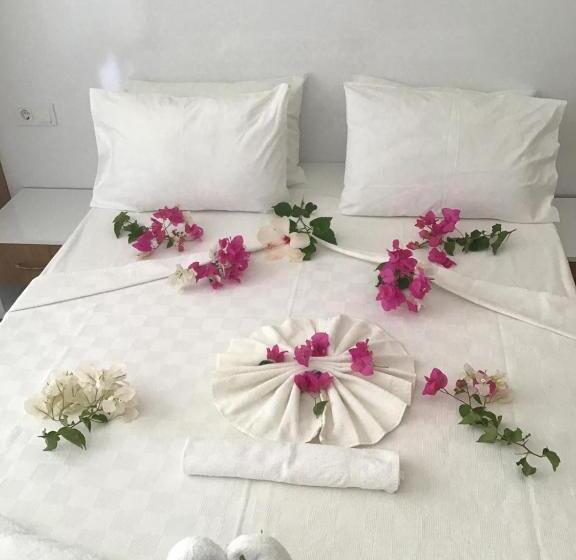 בית מלון כפרי Altunakar 1