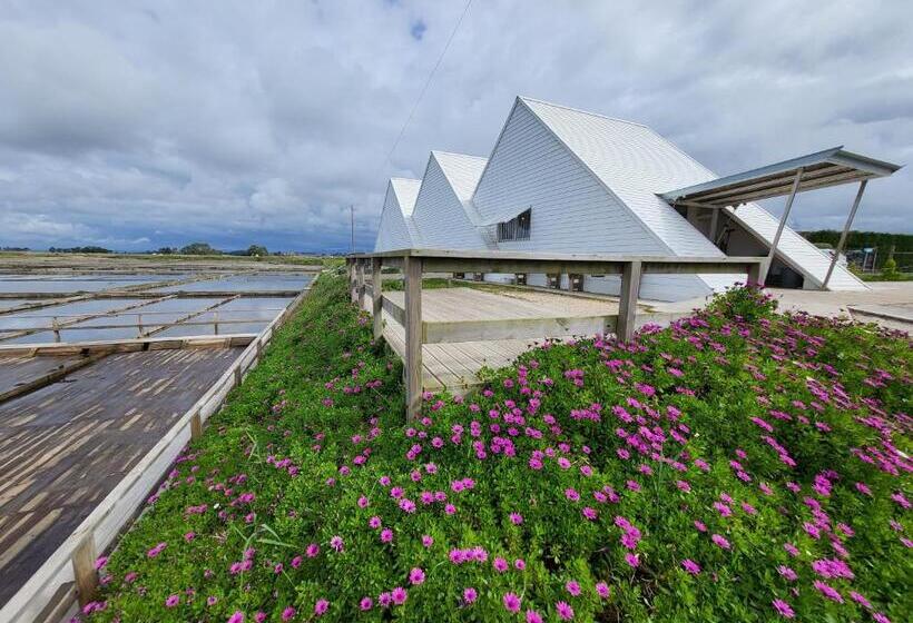 فندق Barcos Casa Aveiro