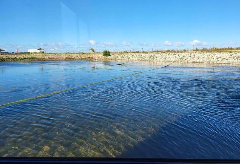 فندق Barcos Casa Aveiro