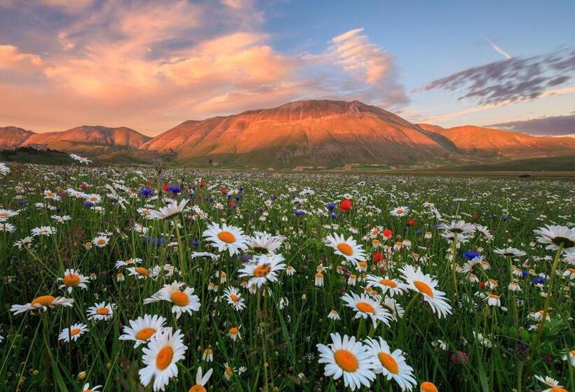 בית מלון כפרי Castello Di Pupaggi