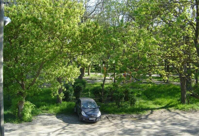 Отель Central Park Family