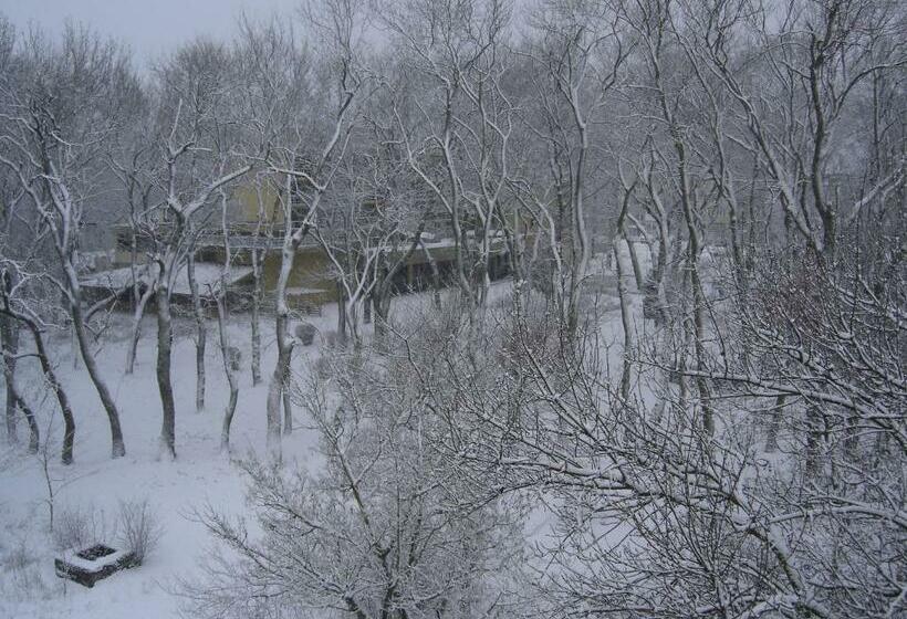 Отель Central Park Family