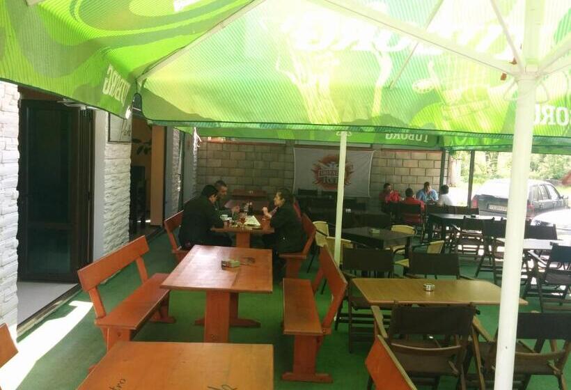 Отель Central Park Family