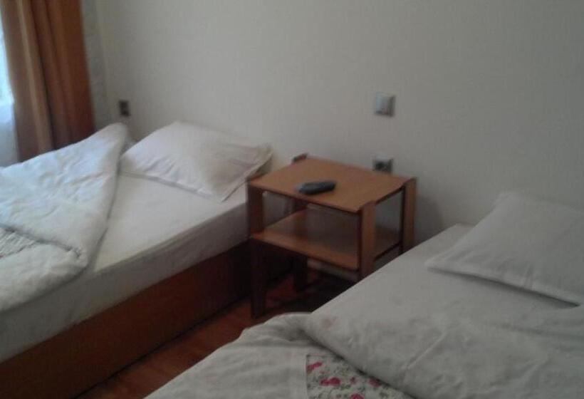 Отель Central Park Family