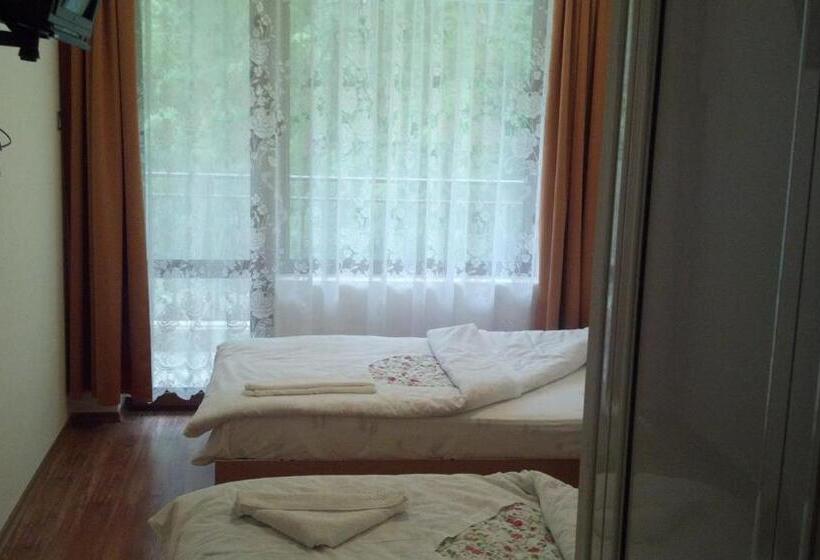 Отель Central Park Family