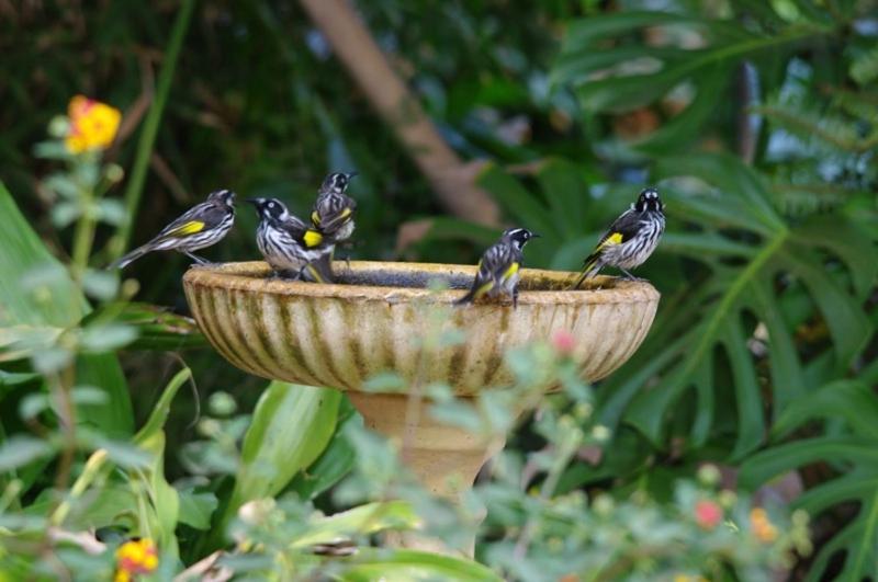 فندق Margaret River Hideaway & Farmstay