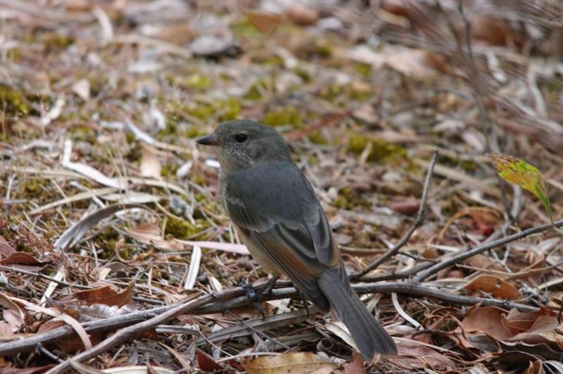 فندق Margaret River Hideaway & Farmstay