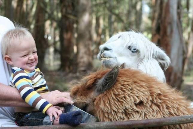 فندق Margaret River Hideaway & Farmstay