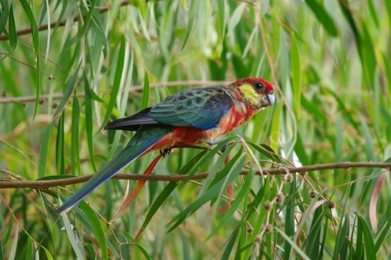 فندق Margaret River Hideaway & Farmstay