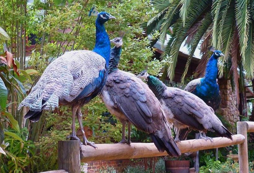 فندق Margaret River Hideaway & Farmstay