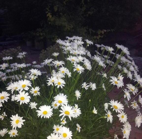 בית מלון כפרי Rural San Pelayo