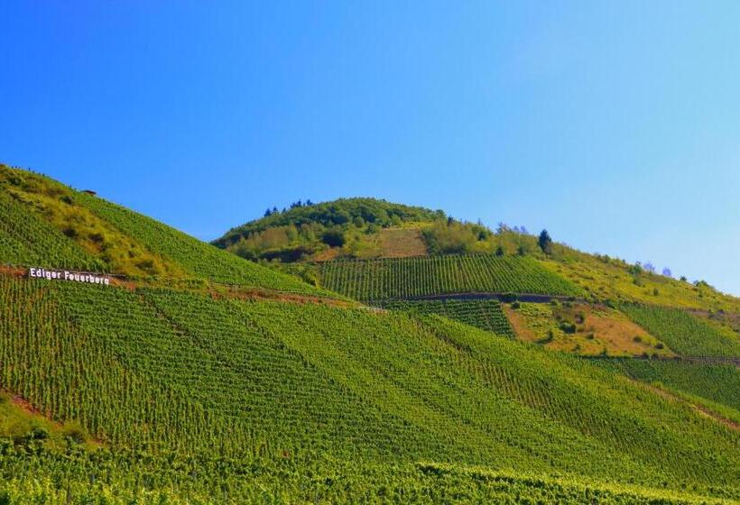 Отель St. Georg