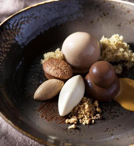 בית מלון כפרי T Streefkerkse Huis