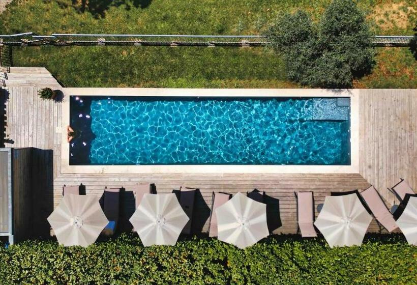 فندق Villa Elisa M