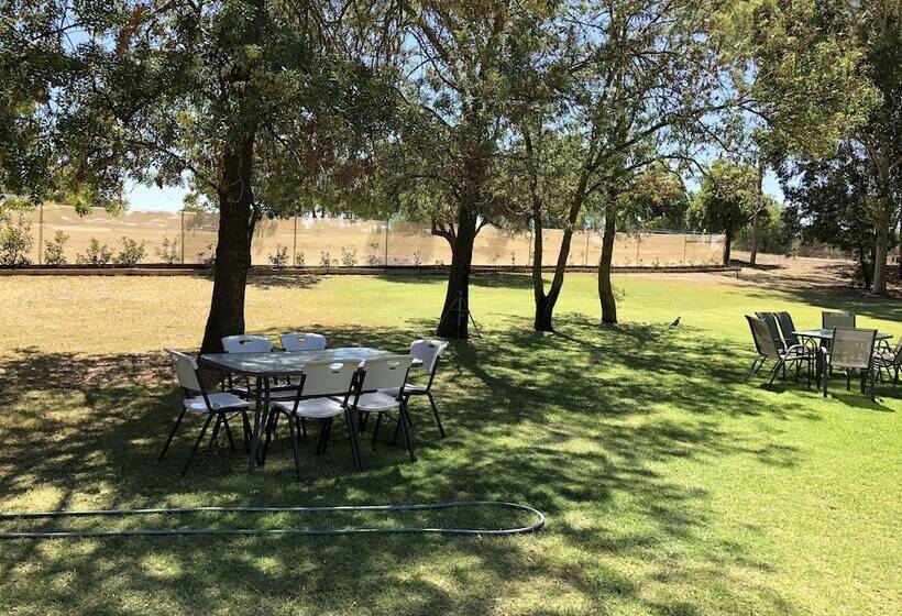 מוטל Bullanginya Lodge