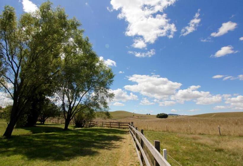 모텔 Snowy Mountains Resort And Function Centre