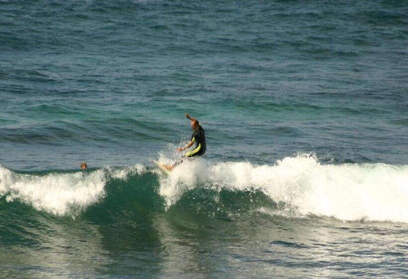 מוטל Sussex Shores