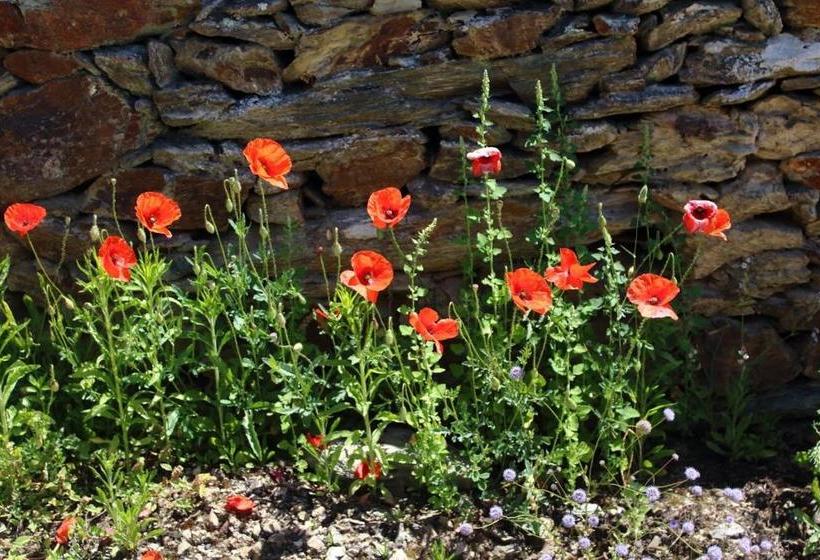 Пансион Casa Da Bela Vista