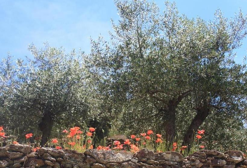 Пансион Casa Da Bela Vista