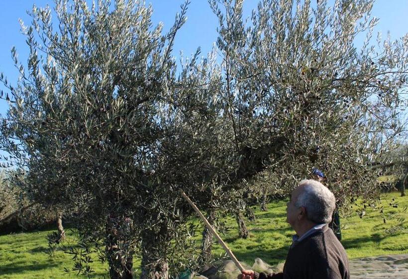 بنسيون Casa Dos Poços