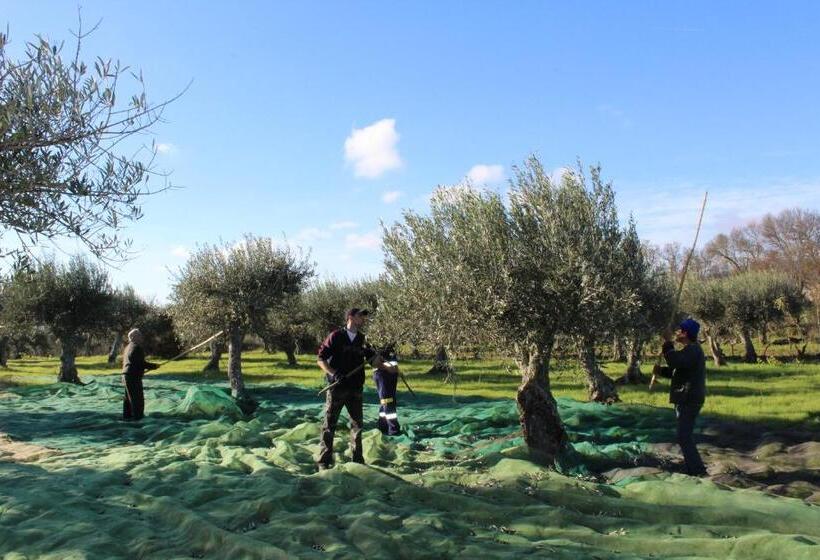 بنسيون Casa Dos Poços